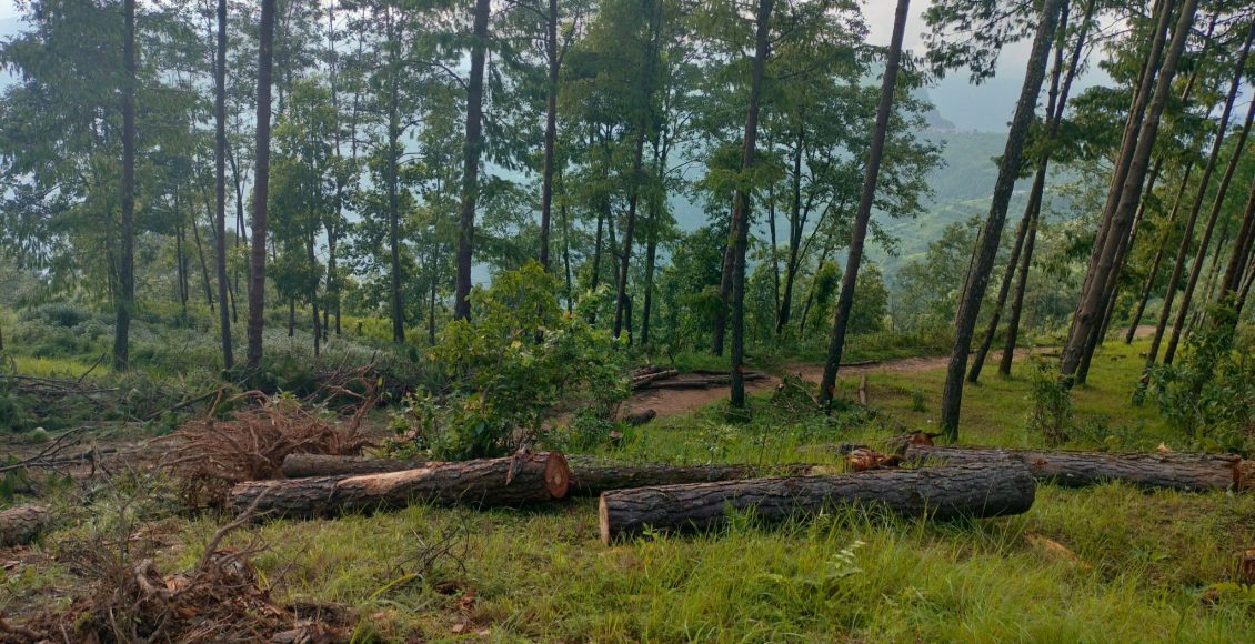 IMG20220731173142-2048×1536